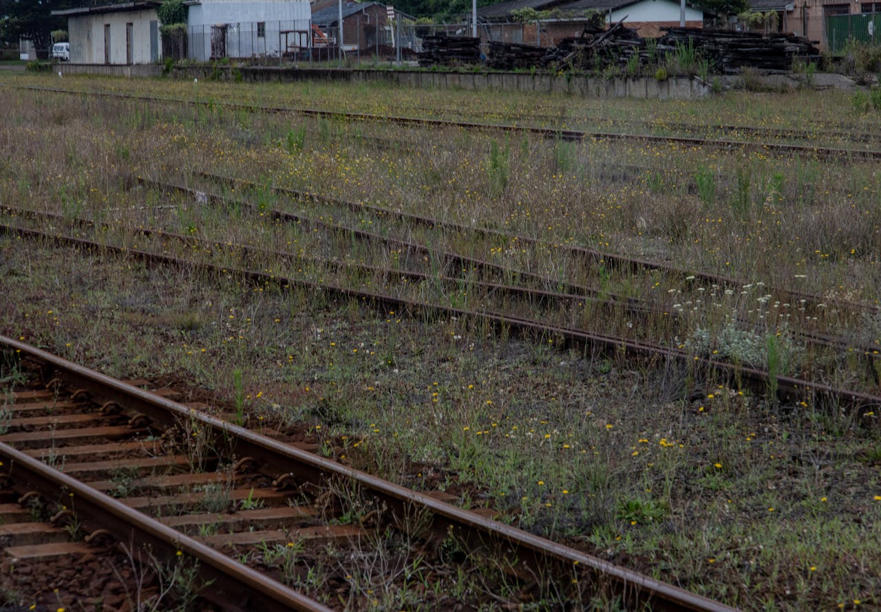 An abandoned railway with rusty tracks overgrown by grass and wildflowers, conveying decay.